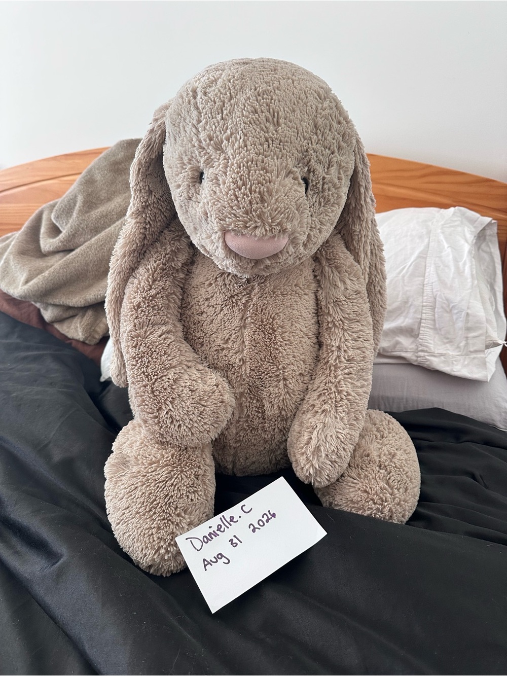 Jellycat Huge Beige Bashful Bunny